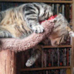 Meet your Posher, Rona